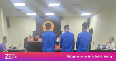 Ba đối tượng lĩnh án tù vì hiếp dâm thiếu nữ say rượu