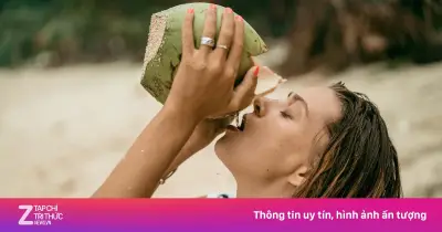 Cơ Chế Thanh Lọc Tự Nhiên Khi Uống Nước Dừa Mỗi Ngày: Lợi Ích Và Lưu Ý
