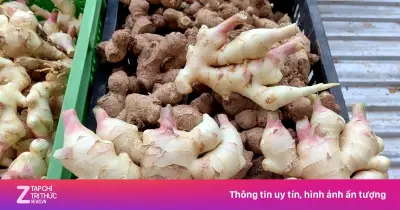 Củ Gừng Non: 'Nhân Sâm' Giá Rẻ Của Người Việt, Bổ Dưỡng Và Dễ Chế Biến