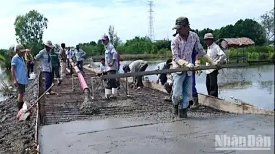 Cà Mau: Giá Vật Liệu Xây Dựng Tăng 40%, Doanh Nghiệp Đối Mặt Nguy Cơ Thua Lỗ Nặng