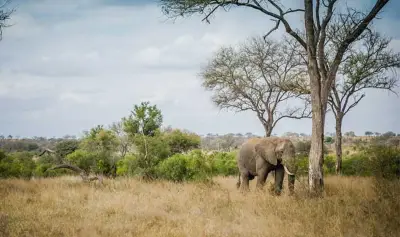 Châu Phi mở ra cơ hội lớn ứng phó biến đổi khí hậu toàn cầu