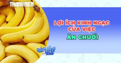 Chuối: Món Ăn Tiện Lợi Với Những Lợi Ích Sức Khỏe Đáng Kinh Ngạc