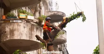 Chung cư 51 Huỳnh Thúc Kháng chính thức được phá dỡ sau khi di dời 100% cư dân