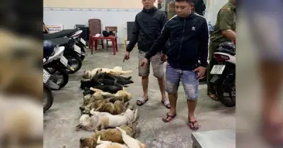 Cần Thơ: Bắt giữ hai nghi phạm trộm chó trang bị súng tự chế và bộ kích điện