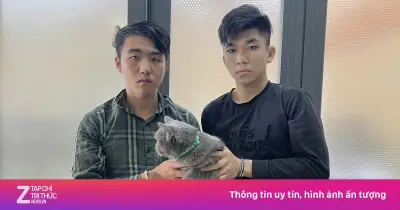 Công an TP.HCM triệt phá 12 vụ trộm chó mèo, bắt giữ 31 đối tượng trong quý I/2026