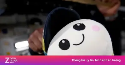 Cậu bé 8 tuổi thiết kế gấu bông Rise - chỉ báo không trọng lực trên tàu Artemis II của NASA