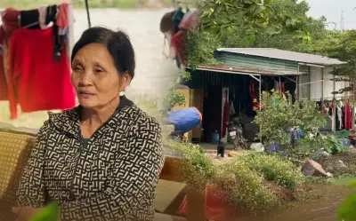 Câu chuyện đời thực về 'bẫy' dân số già: Từ người mẹ 14 con đến xu hướng sinh ít