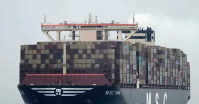 Dự án siêu cảng Cần Giờ: Hợp tác quốc tế với MSC, đầu tư 128.872 tỷ đồng