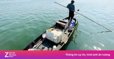 Dùng kích điện đánh bắt trái phép trên sông Tam Kỳ, người đàn ông bị phạt 7,5 triệu đồng
