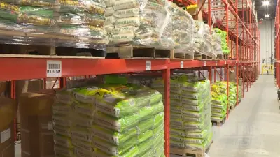 Giá Lúa Gạo Đồng Bằng Sông Cửu Long Tăng Mạnh, Xuất Khẩu Khởi Sắc