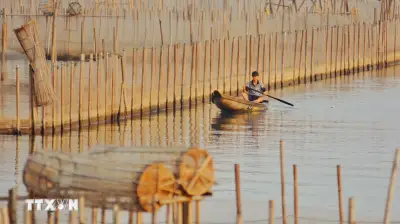 Giữ đầm phá Tam Giang, mở sinh kế cho người dân miền Trung