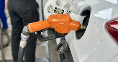 Giá Xăng Dầu Tiếp Tục Giảm Mạnh, Dầu Brent Và WTI Lao Dốc Hơn 1%