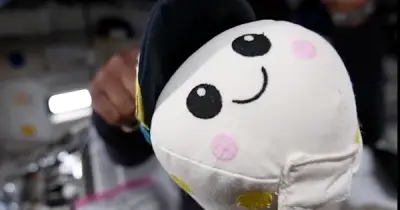 Gấu bông Rise: Linh vật Artemis II và thiết bị báo hiệu không trọng lực đặc biệt