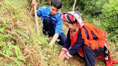 Hội thảo tại Tuyên Quang bàn giải pháp phát triển bền vững trà Shan tuyết cổ thụ Hồ Thầu