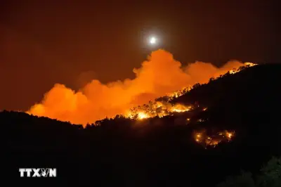 Hàn Quốc Huy Động 5 Trực Thăng Ngăn Chặn Cháy Rừng Tại Tỉnh Gyeongsang Bắc