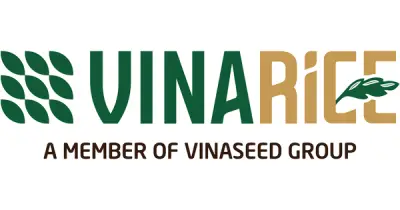 Đài Thơm 8: Giống lúa chất lượng cao khẳng định vị thế gạo Việt trên thị trường quốc tế