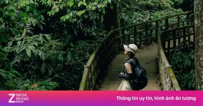 Khám phá vẻ đẹp nguyên sơ bị lãng quên tại Vườn quốc gia Cúc Phương