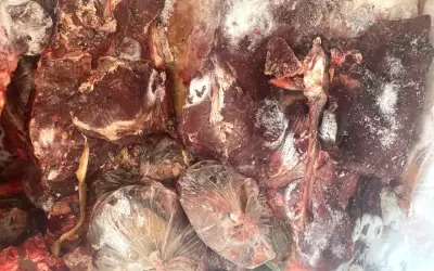 Kiểm tra đột xuất, phát hiện thịt trâu ôi thiu trong tủ lạnh cửa hàng