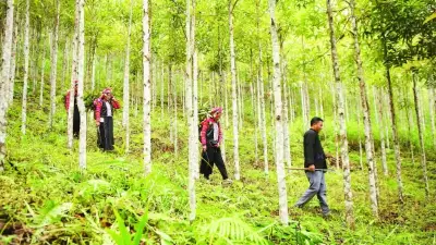 Lai Châu ứng phó với nguy cơ cháy rừng cao trong thời tiết nắng nóng kéo dài