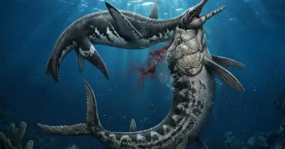 Mỹ: Xác 80 triệu tuổi lộ diện với vật lạ trong cổ