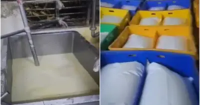 Ấn Độ triệt phá cơ sở sản xuất sữa giả từ hóa chất độc hại
