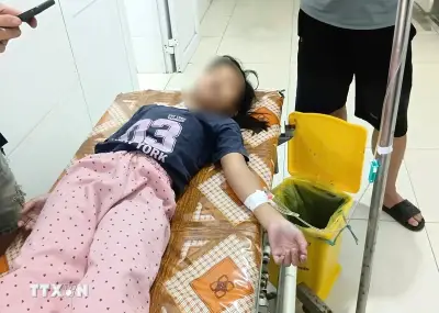 Đề Nghị Điều Tra Nguồn Gốc Thực Phẩm Khiến Hơn 20 Người Nhập Viện Ở Nghệ An