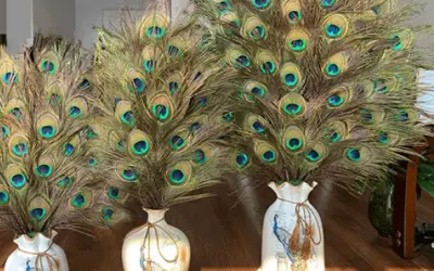 Ý nghĩa bình long công trong phong thủy và cải vận bạn nên biết