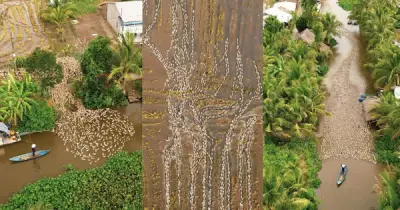 Người đàn ông Cần Thơ ghi lại vẻ đẹp miền Tây từ trên cao thu hút triệu lượt xem
