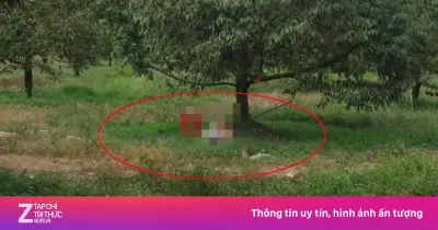 Người đàn ông Đồng Nai tử vong dưới gốc cây, bên cạnh có súng hơi