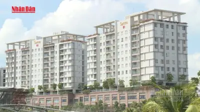 Nguồn cung căn hộ Hà Nội tăng gấp 3, giá tăng 288% trong 10 năm