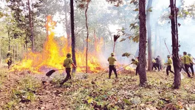 Ngày đêm bám rừng canh 'giặc lửa' tại Đắk Lắk