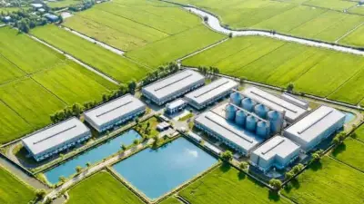 Nhà Máy Chế Biến Gạo 1.000 Tỷ Đồng Khởi Công Tại Hưng Yên, Ứng Dụng Công Nghệ Nhật - Âu