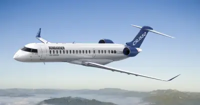 Phi công Mỹ giả tiếng mèo kêu trên tần số liên lạc, bị khiển trách nghiêm khắc