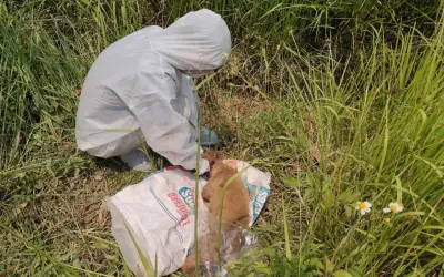 Quảng Ngãi khẩn trương kiểm soát dịch dại sau vụ chó cắn nhiều người tại Sơn Tịnh