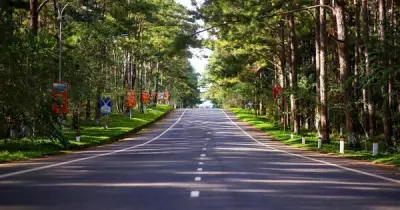 Quảng Ngãi đẩy mạnh xây dựng Măng Đen thành Khu du lịch quốc gia, thu hút đầu tư lớn