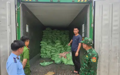 Quảng Ninh phát hiện 25,8 tấn chân lợn, chân cánh gà không rõ nguồn gốc