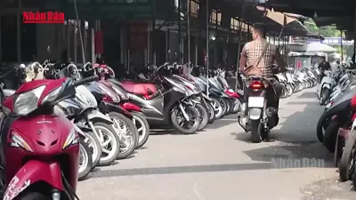 Quy Trình Thu Hồi Và Sang Tên Xe Khi Thiếu Chứng Từ Sở Hữu