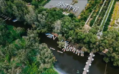 Rừng Tràm Trà Sư: Kỳ Quan Xanh Miền Tây Với Hệ Sinh Thái Độc Đáo