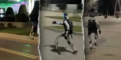 Robot hình người Trung Quốc chiếm ưu thế tại thị trường châu Âu