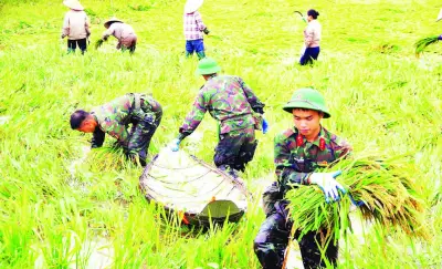 Sư đoàn 316: 75 năm vẻ vang với chiến công lịch sử và đóng góp thầm lặng