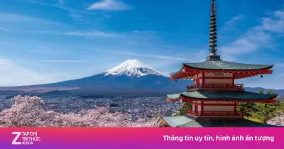 Thành phố Nhật Bản 'khốn khổ' vì bức ảnh đẹp, đối mặt với 'ô nhiễm du lịch' nghiêm trọng