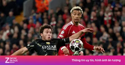 Tiền đạo Hugo Ekitike nghỉ 9 tháng, khép lại giấc mơ World Cup 2026