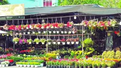 TP.HCM đẩy mạnh đào tạo nghề nông nghiệp đô thị, hướng tới phát triển bền vững