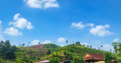 Tuyên Quang: Giảm nghèo thông tin - Chìa khóa thu hẹp khoảng cách tri thức