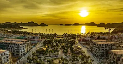 Đầu tư căn hộ nghỉ dưỡng xanh tại Cát Bà: Xu hướng mới của giới đầu tư