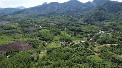 Việt Nam chuyển nhượng thành công 10,3 triệu tín chỉ carbon rừng, thu về 51,5 triệu USD