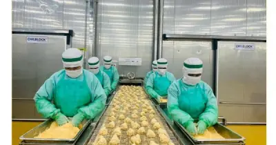 Việt Nam và Hàn Quốc mở cửa thị trường thịt gà chế biến