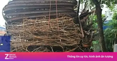 Xử phạt lái xe chở sắt thép vượt quá chiều cao cho phép tại Ninh Bình