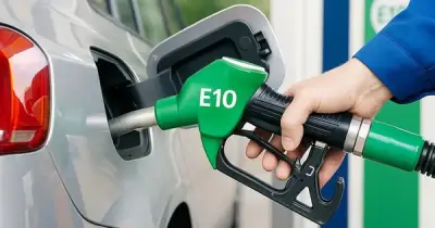 Xăng sinh học E10 sắp được bán rộng rãi, giải pháp cho khan hiếm nhiên liệu