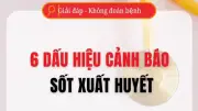 6 Dấu Hiệu Cảnh Báo Sốt Xuất Huyết Nguy Hiểm Cần Đặc Biệt Chú Ý